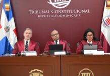Inclusión, Código Penal y régimen electoral concentran 23 acciones de inconstitucionalidad conocidas por el TC