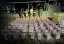 DNCD intercepta narcolancha con 595 paquetes de presunta cocaína en costas de Baní